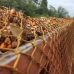 Sinar Mas, infamous Palm Oil company. Hundreds of Palm Oil trucks stranded outside our local partner