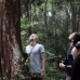 An afternoon walk through the local Peat swamp forest, some of the largest carbon storage of any eco