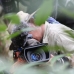 This is the Indonesian cameraman, Ezther, filming a slow-loris (possum like creature with big eyes)