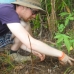 Helping the Reforestation Team plant seedlings.