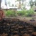 Agung, a local 21-year-old Dayak, has a break next to some polybags we have prepared for the nursery