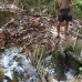 Pak Apui, a local Dayak, standing at the top of his hydroelectric plant just 10 minutes walk out of 