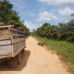 A truck carrying away palm oil fruit – one of hundreds of trucks we saw today