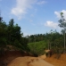 the road between the bridge and Tembak Village