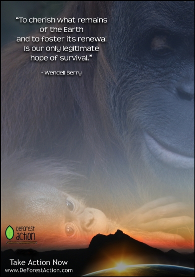 DeforestAction Poster