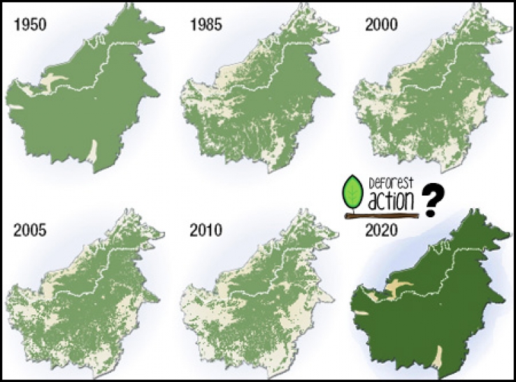 DeforestACTION in Borneo