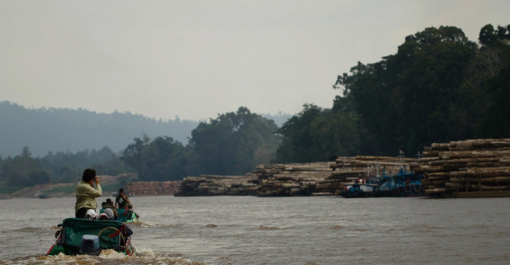 Illegal Logging