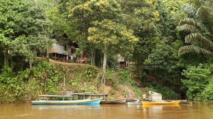 River life.