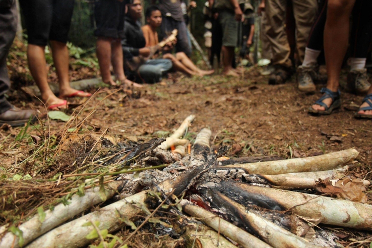 Dayak People and their Ancestral Lands