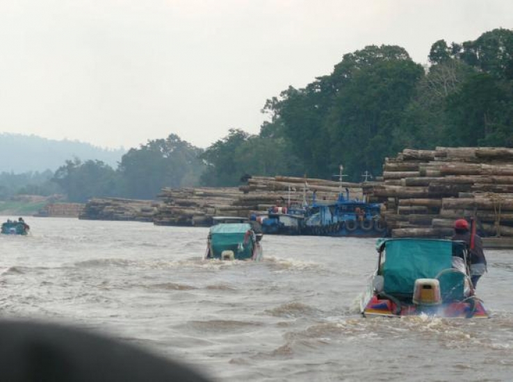 Shadrack Blog Photo River Logging