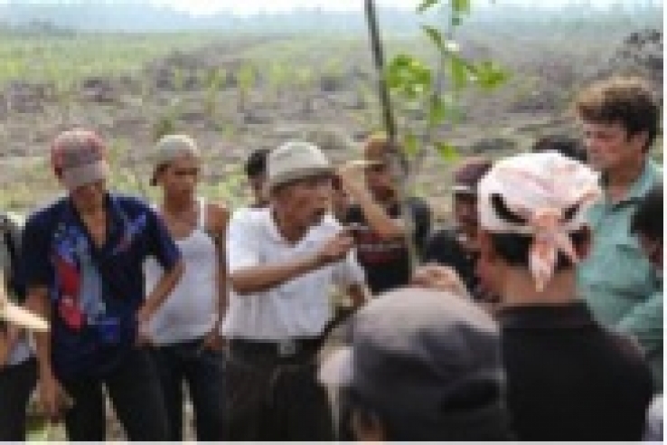 Local Dayaks