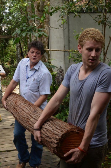 Eco Warriors at work at the Sintang Orangutan Center after a storm hit the region!