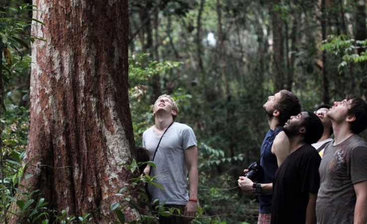 An afternoon walk through the local Peat swamp forest, some of the largest carbon storage of any eco