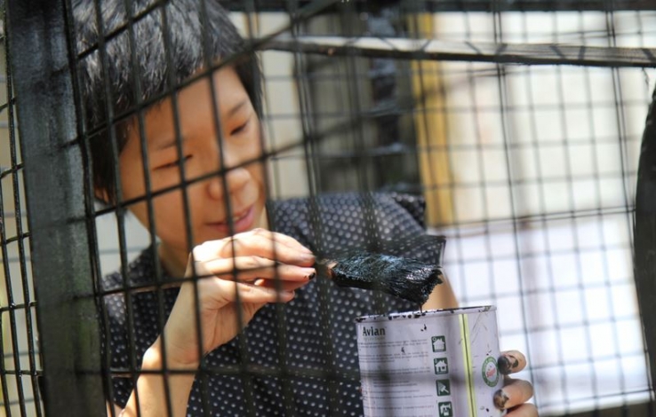 Neo Chai Chin painting a new Orangutan Rescue cage.