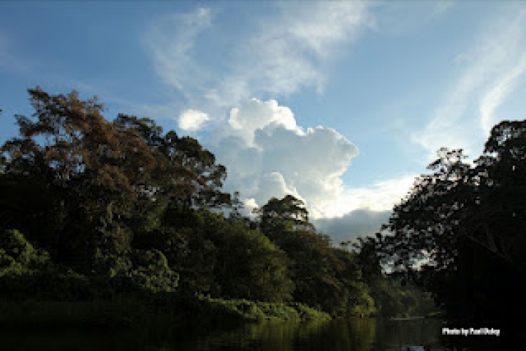 Borneo Sept.2011 The Beautiful Virgin Rainforest