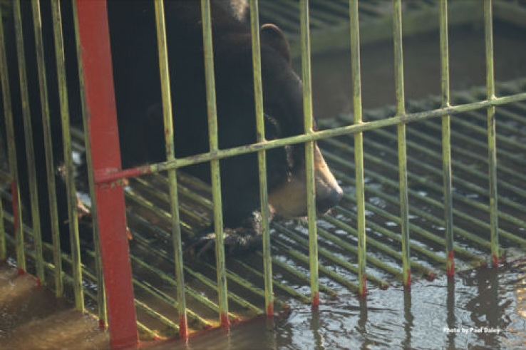 Appalling animal 'fun park' conditions.