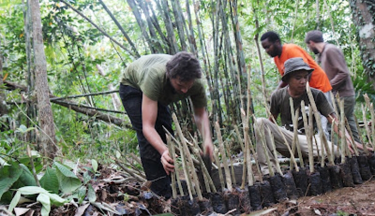 Here we are working in the existing nursery of local man, Pak Niat.